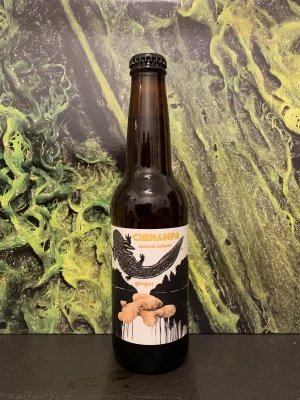 Chinampa Ginger Seltzer (Four Pack)